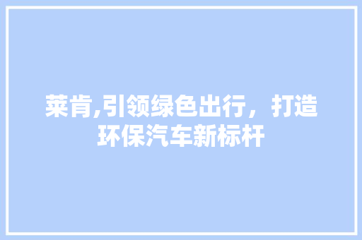 莱肯,引领绿色出行，打造环保汽车新标杆