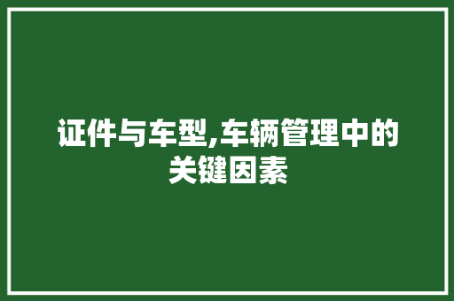 证件与车型,车辆管理中的关键因素