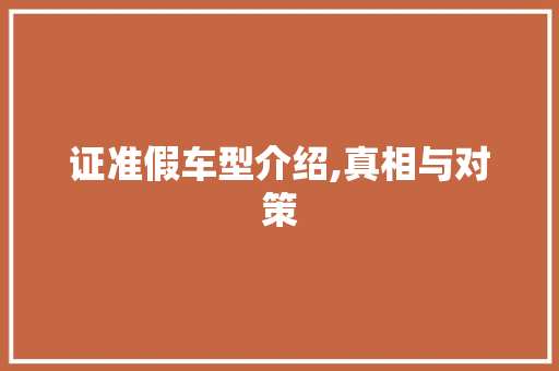 证准假车型介绍,真相与对策