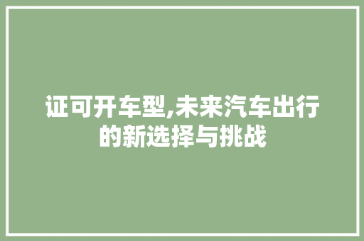 证可开车型,未来汽车出行的新选择与挑战