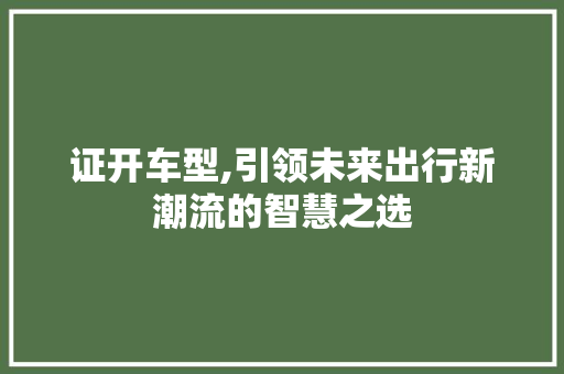 证开车型,引领未来出行新潮流的智慧之选