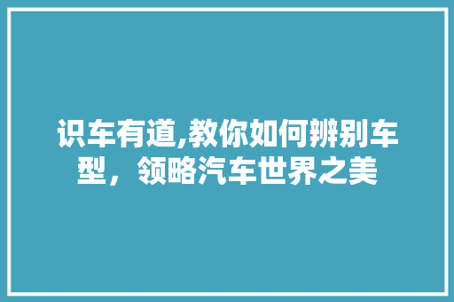识车有道,教你如何辨别车型，领略汽车世界之美