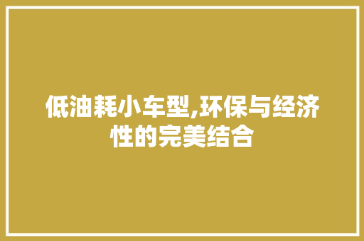 低油耗小车型,环保与经济性的完美结合