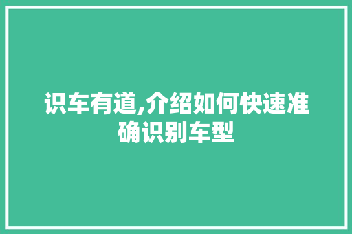 识车有道,介绍如何快速准确识别车型