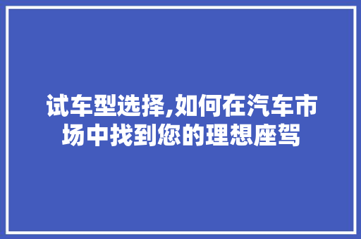 试车型选择,如何在汽车市场中找到您的理想座驾