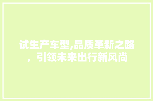 试生产车型,品质革新之路，引领未来出行新风尚