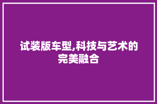 试装版车型,科技与艺术的完美融合