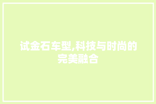 试金石车型,科技与时尚的完美融合