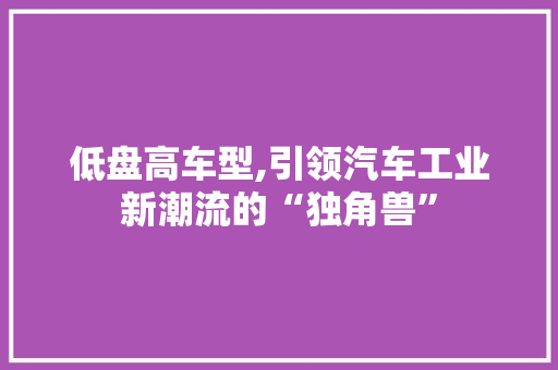 低盘高车型,引领汽车工业新潮流的“独角兽”