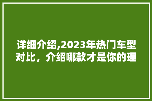 详细介绍,2023年热门车型对比，介绍哪款才是你的理想之选