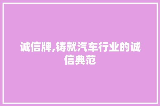 诚信牌,铸就汽车行业的诚信典范