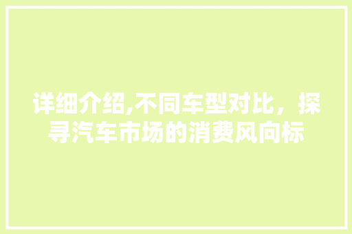 详细介绍,不同车型对比，探寻汽车市场的消费风向标