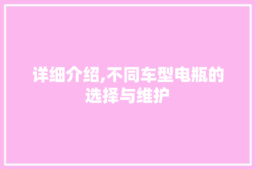 详细介绍,不同车型电瓶的选择与维护
