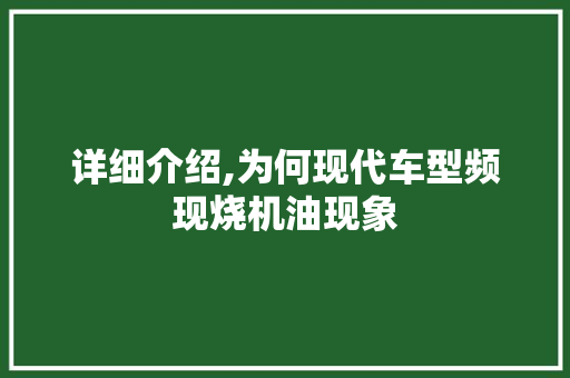 详细介绍,为何现代车型频现烧机油现象