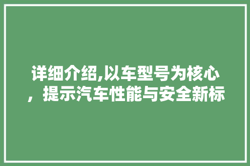 详细介绍,以车型号为核心，提示汽车性能与安全新标准