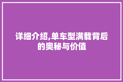 详细介绍,单车型满载背后的奥秘与价值