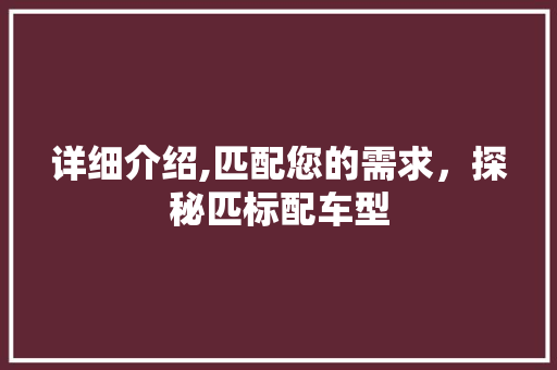 详细介绍,匹配您的需求，探秘匹标配车型