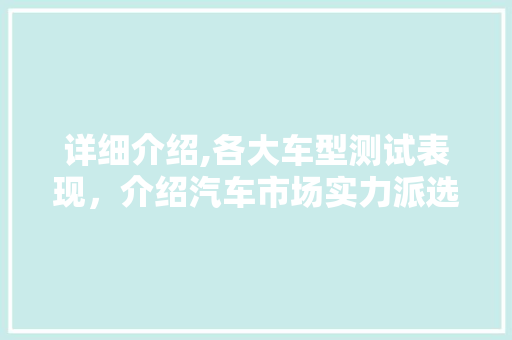详细介绍,各大车型测试表现，介绍汽车市场实力派选手
