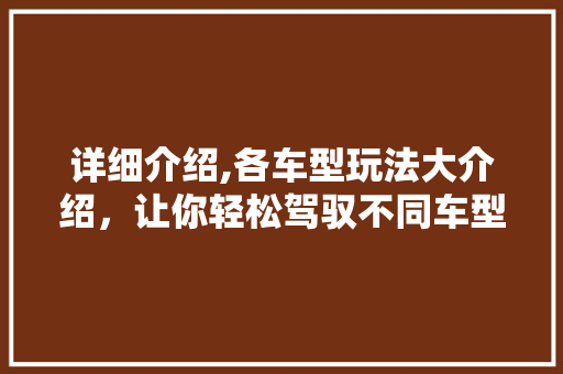 详细介绍,各车型玩法大介绍，让你轻松驾驭不同车型！