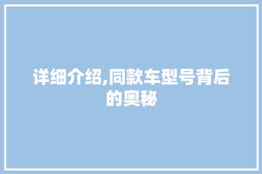 详细介绍,同款车型号背后的奥秘