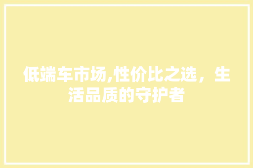 低端车市场,性价比之选，生活品质的守护者