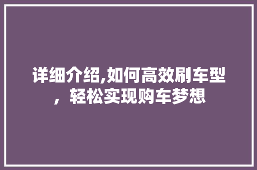 详细介绍,如何高效刷车型，轻松实现购车梦想