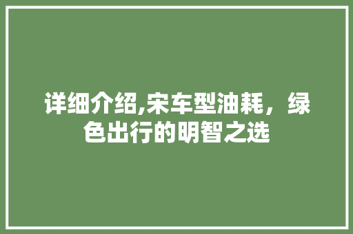 详细介绍,宋车型油耗，绿色出行的明智之选