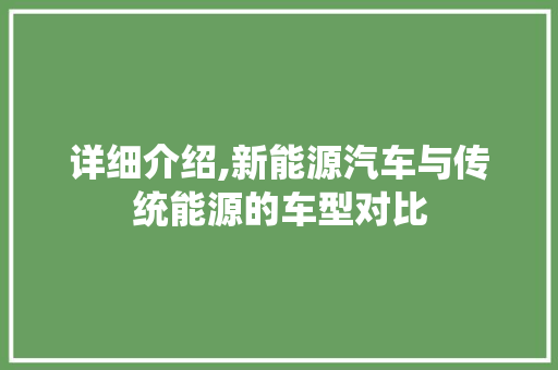 详细介绍,新能源汽车与传统能源的车型对比