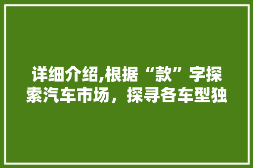 详细介绍,根据“款”字探索汽车市场，探寻各车型独特魅力
