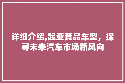 详细介绍,起亚竞品车型，探寻未来汽车市场新风向