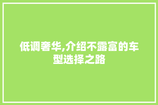 低调奢华,介绍不露富的车型选择之路