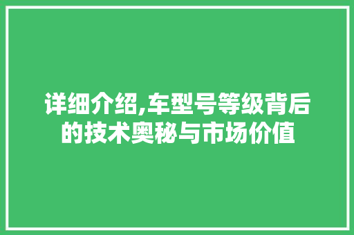 详细介绍,车型号等级背后的技术奥秘与市场价值