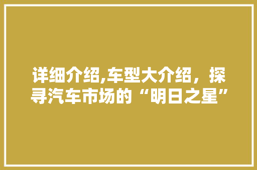 详细介绍,车型大介绍，探寻汽车市场的“明日之星”