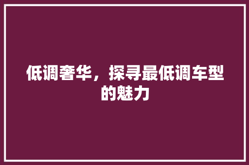 低调奢华，探寻最低调车型的魅力