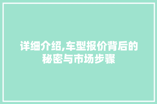 详细介绍,车型报价背后的秘密与市场步骤
