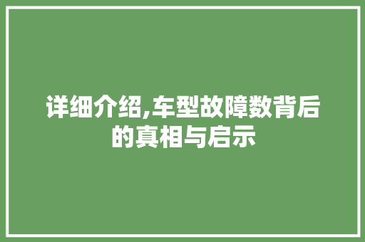 详细介绍,车型故障数背后的真相与启示