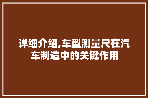 详细介绍,车型测量尺在汽车制造中的关键作用