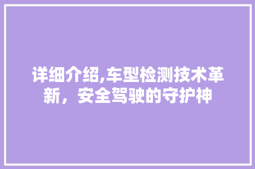 详细介绍,车型检测技术革新，安全驾驶的守护神