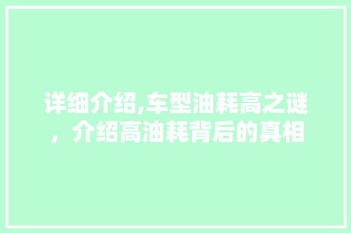 详细介绍,车型油耗高之谜，介绍高油耗背后的真相