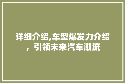 详细介绍,车型爆发力介绍，引领未来汽车潮流