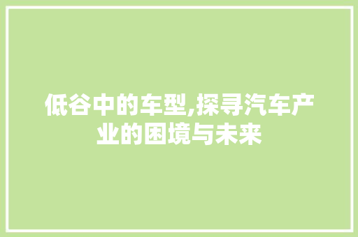 低谷中的车型,探寻汽车产业的困境与未来
