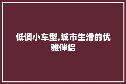 低调小车型,城市生活的优雅伴侣