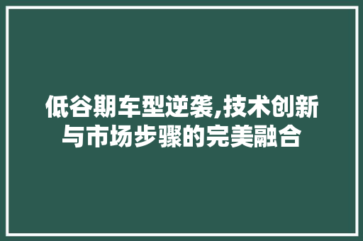 低谷期车型逆袭,技术创新与市场步骤的完美融合