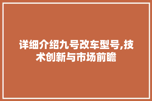 详细介绍九号改车型号,技术创新与市场前瞻