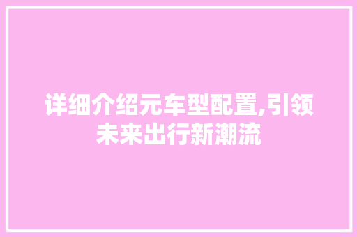 详细介绍元车型配置,引领未来出行新潮流