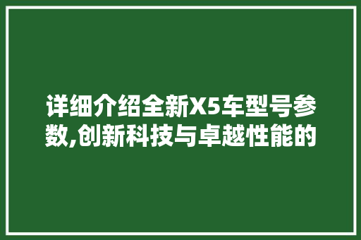 详细介绍全新X5车型号参数,创新科技与卓越性能的完美融合