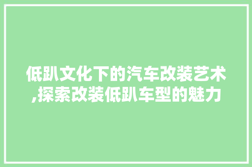 低趴文化下的汽车改装艺术,探索改装低趴车型的魅力与方法