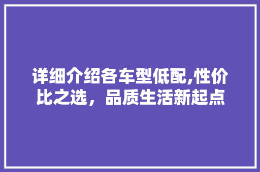 详细介绍各车型低配,性价比之选，品质生活新起点