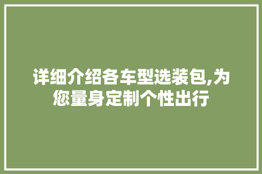 详细介绍各车型选装包,为您量身定制个性出行
