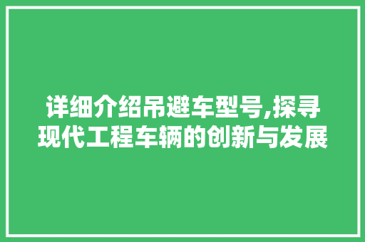 详细介绍吊避车型号,探寻现代工程车辆的创新与发展